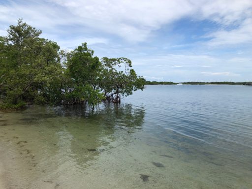 Beautiful view near Lovers Key State Park